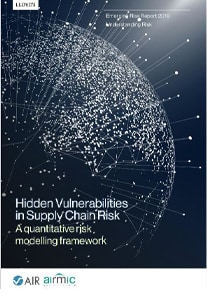 Hidden Vulnerabilities in Supply Chain Risk